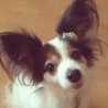 niena
