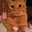 sawame