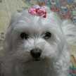 ☆ＴＯＭＯＹＯ☆