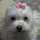 ☆ＴＯＭＯＹＯ☆