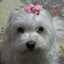 ☆ＴＯＭＯＹＯ☆