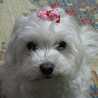 ☆ＴＯＭＯＹＯ☆