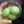 クックKみちゅぱん☆