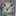 猫博士 猫博士