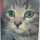 猫博士
