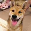 すまいる☺