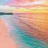 ♡lovely♡♡