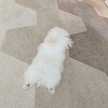 ♡♡Ꭿ