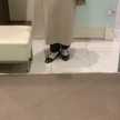 めろんぱん、