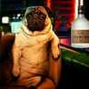 pagulove★