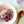 Coto＊oats