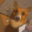 れーさんさん