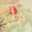 kanchan_18