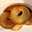 piromixxx3