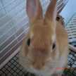 coco0616