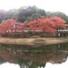 菖蒲町