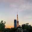 4983ryo