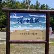 り