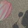 chiii_1622