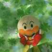 1106のんたん