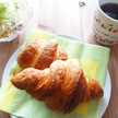 茶トラキッズ