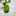 £bergamot£ £bergamot£