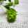 £bergamot£ £bergamot£