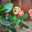 クックHWB0QB☆