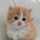 ノラ猫☆