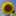 まりりん8929 まりりん8929