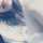 ねこねこね。 ねこねこね。