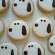 むぅちゃんのごはん