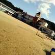 rierie073