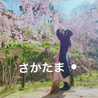 MYクック☆