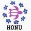 HonuAloha