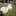 minthol03 minthol03