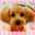 クックTRB27E☆