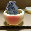かーくんキッチン✨