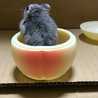 かーくんキッチン✨