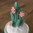 CactusLife