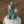 CactusLife