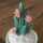 CactusLife CactusLife