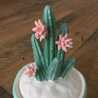 CactusLife