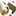 はな❁❁❁ はな❁❁❁