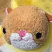 むっちゃちゃん