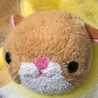 むっちゃちゃん