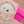 tnmy_626