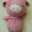 Pigy♪