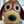mogneo