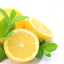 ＬＥＭＯＮ92
